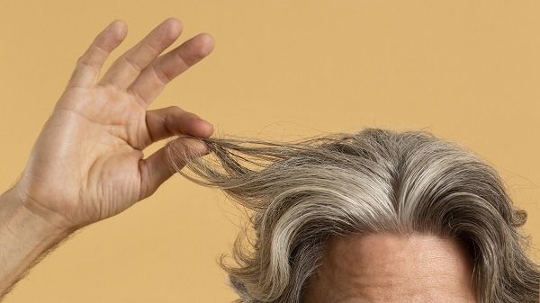 Injerto de cabello 10 años después - hombre mayor estirando un mechón de pelo de su melena canosa y bien cuidada