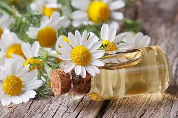pica la cabeza - mesa de madera con flores de manzanilla y un frasco con una infusión de esta planta