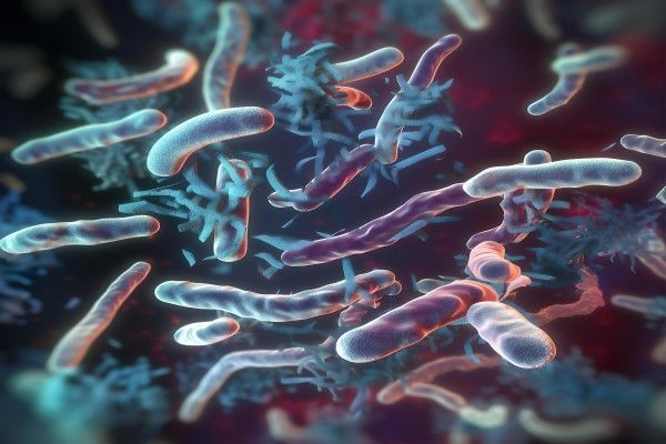 dibujo 3D de bacterias