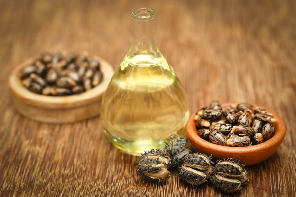 Aceite de ricino para el pelo - Frasco de vidrio con aceite castor, junto a tazas con semillas del árbol de ricino 