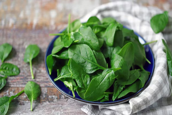 Plato de espinacas como aliado esencial para contrarrestar la deficiencia de nutrientes en el cabello 