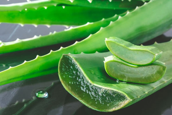 Beneficios del aloe vera - Plano detalle de una penca de sábila picada en trozos para uso capilar y cosmético 