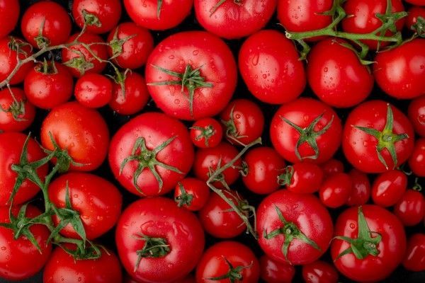 tomates maduros para el andrógeno potente